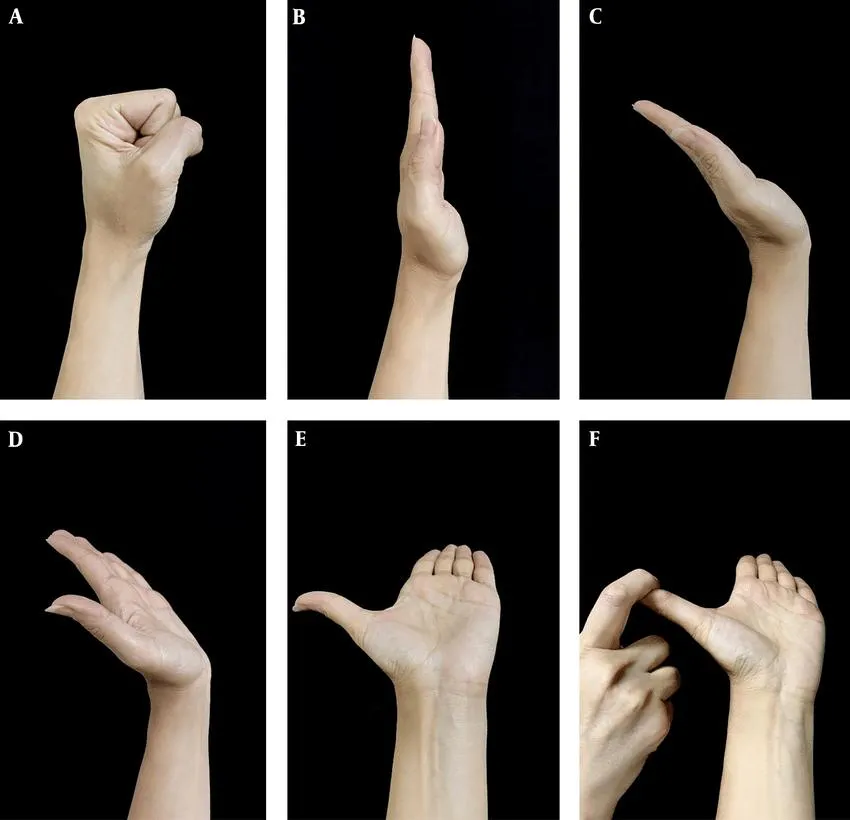 腕隧道症候群正中神經滑動五部曲